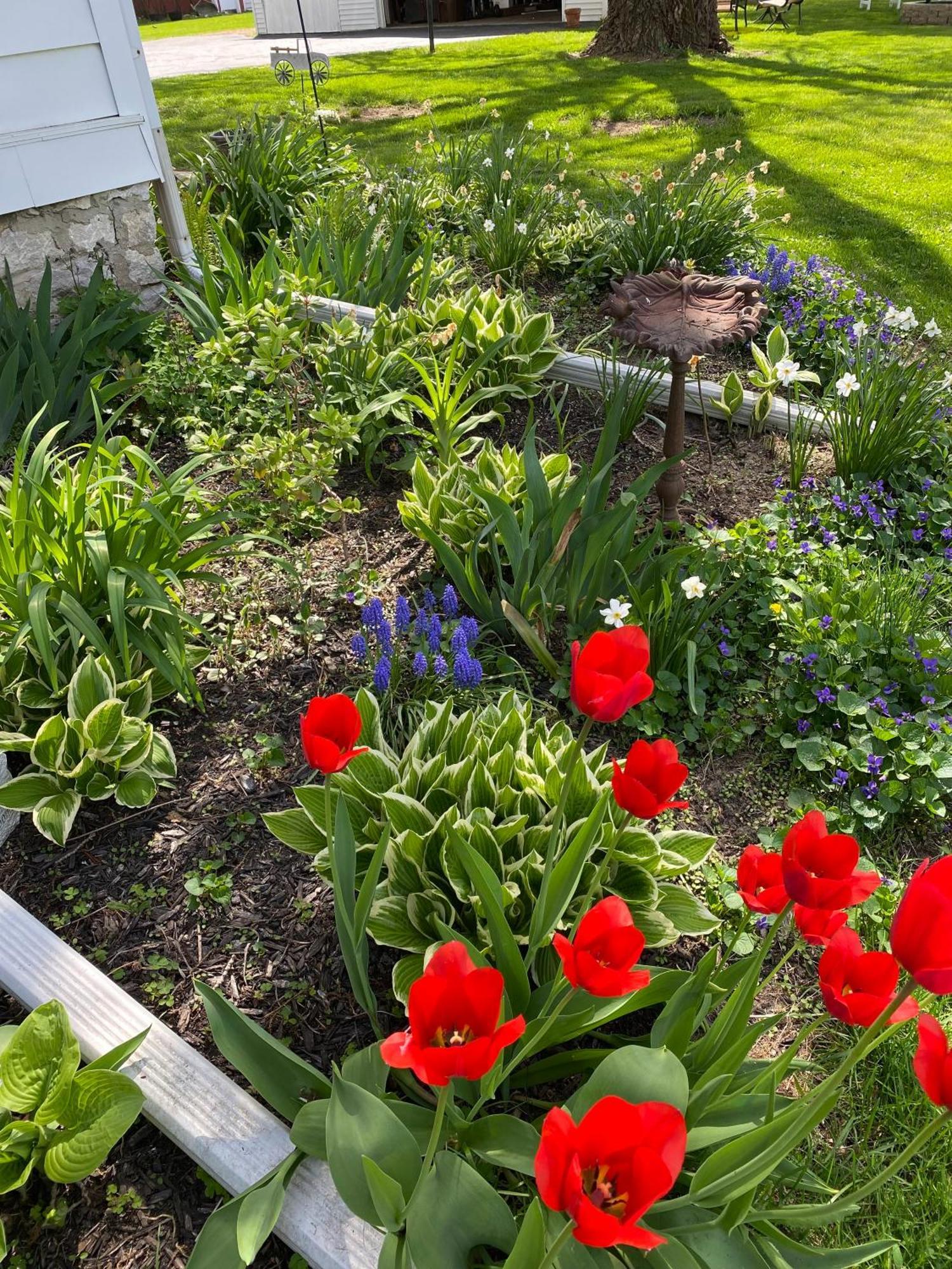 The Vine Bed & Breakfast, Llc Данди Экстерьер фото