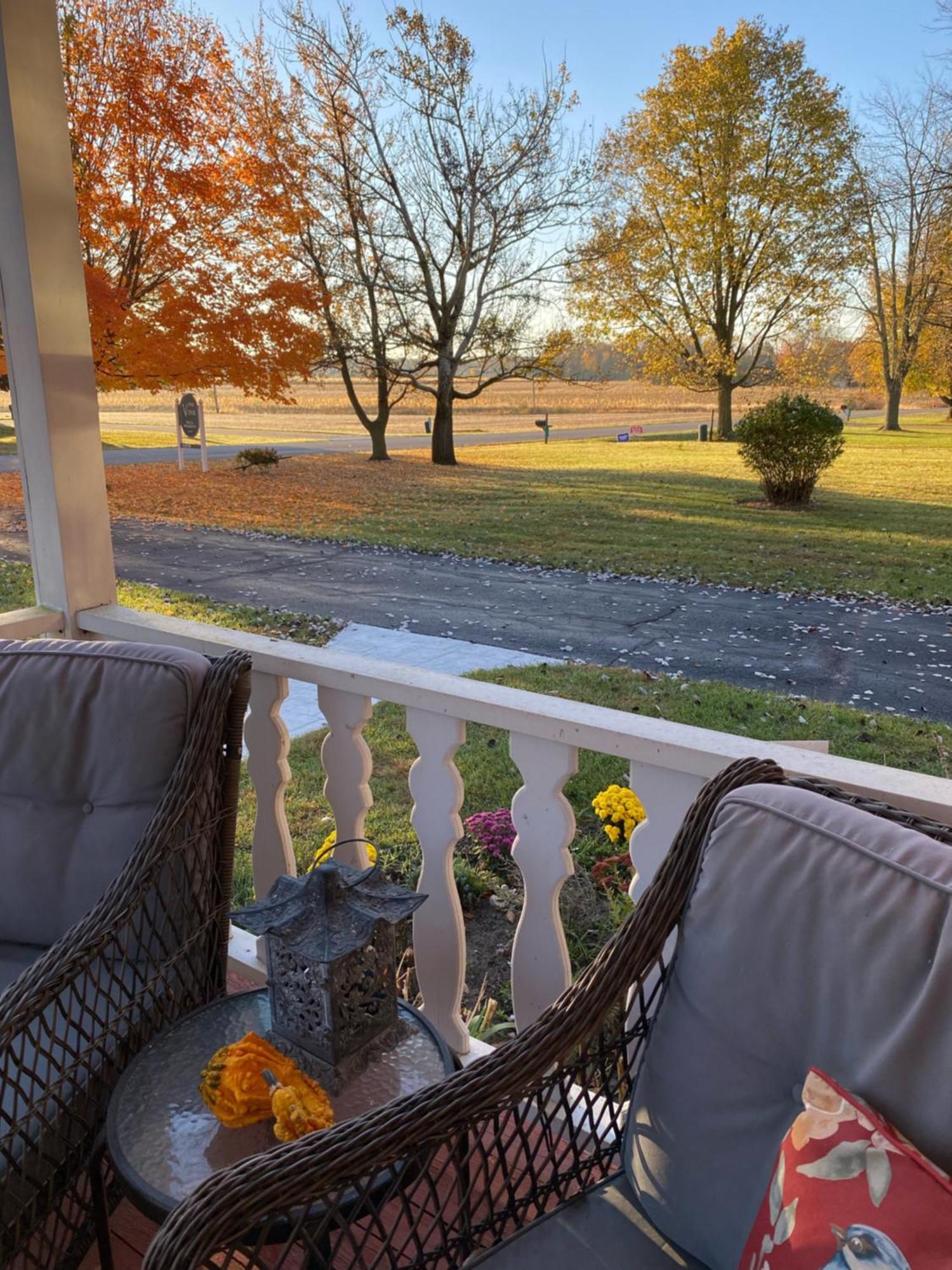 The Vine Bed & Breakfast, Llc Данди Экстерьер фото