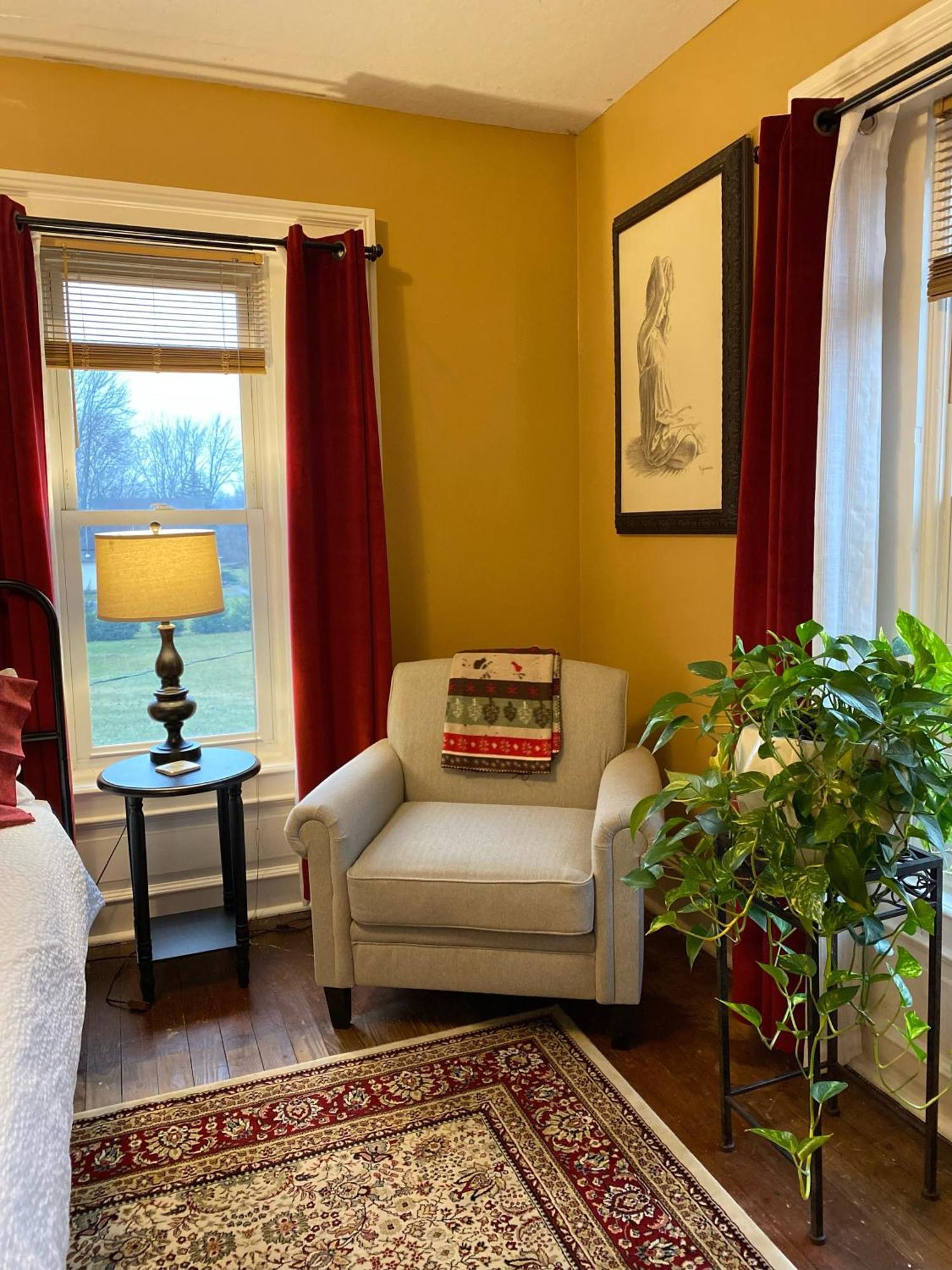 The Vine Bed & Breakfast, Llc Данди Экстерьер фото